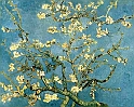 VAN GOGH VINCENT (1853-1890) - Blossoming Almond Tree